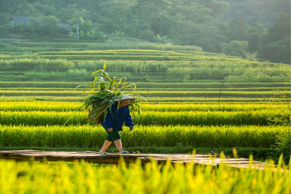 3D 2N Pu Luong Featured Tour: Serenity and Discovery Amidst Nature - photo 22